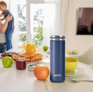 Shiny 300 Thermosteel Water Bottle 300 ml, 24 Hr Hot and Cold I Leak Proof Lid, ISI Certified I Vacuum Insulated I for Office, Gym, School I Blue