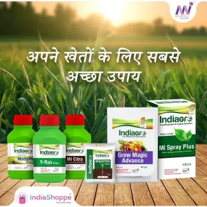 MODIPHY 250 ML