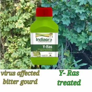 Y-RAS PLUS 250 ML