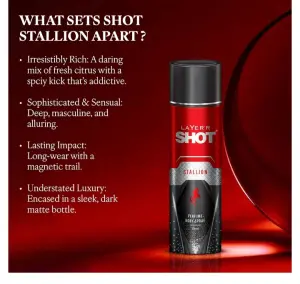 STALLION PERFUME BODY SPRAY (120ml) 