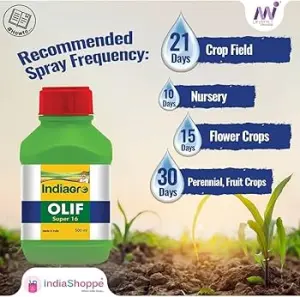 OLIF SUPER 16 500 ML