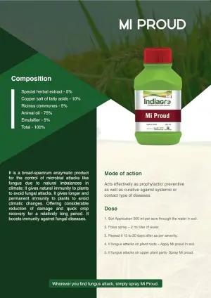 MI PROUD 250 ML
