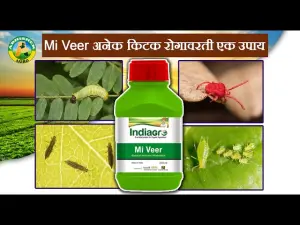 MI VEER 250 ML