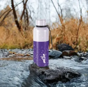 Ancy 500 Thermosteel Water Bottle, ISI Certified, 24 Hr Hot and Cold 500 ml Steel Flask (Pack of 1, Purple)