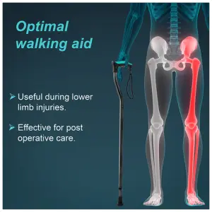 Walking stick