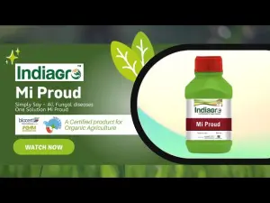 MI PROUD 250 ML