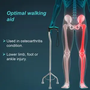 Walking stick (Tripod)