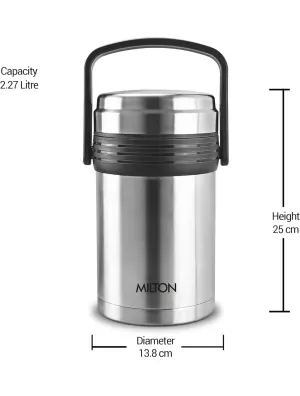 Galore Thermosteel Tiffin Set of 4 Containers, 370 ml Each | Carry Case | Easy to Carry | Hot & Cold | Rust Proof