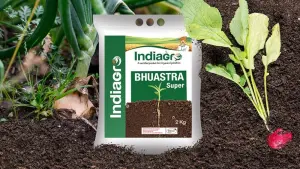 BHUASTRA SUPER 2 KG