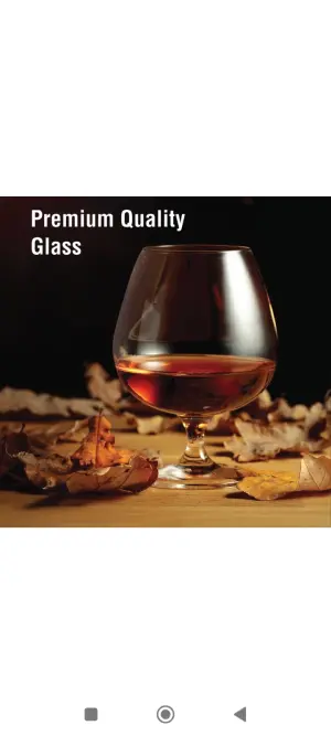 EXOTICA Goblet Beer Glass 340 ml Packing: 6/8