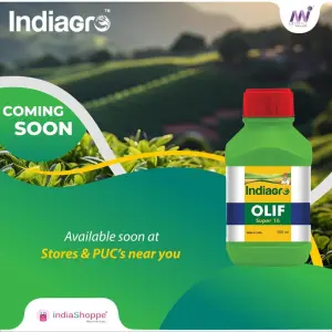 OLIF SUPER 16 500 ML