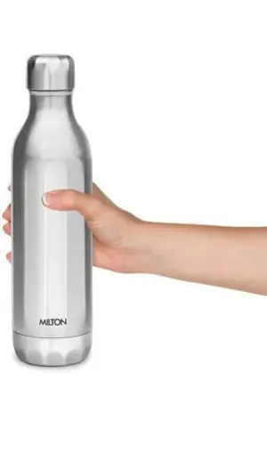 Bliss 600 540 ml Steel Bottle (Pack of 1, Silver)