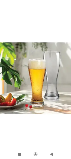 EXOTICA Pilsner Glass 425 ml Packing: 2/16