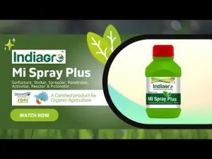 MI SPRAY PLUS 100 ML