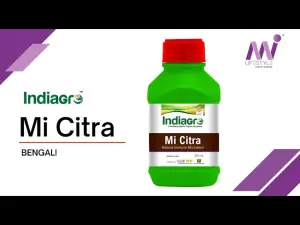 MI CITRA 250 ML