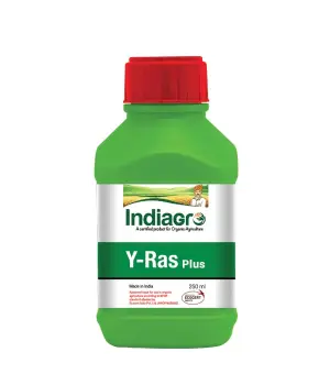 Y-RAS PLUS 250 ML