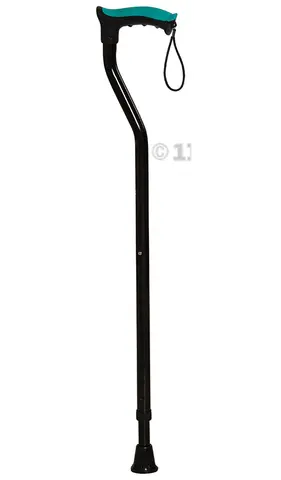 Walking stick