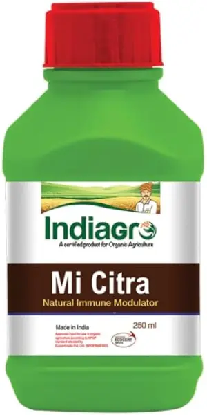 MI CITRA 250 ML