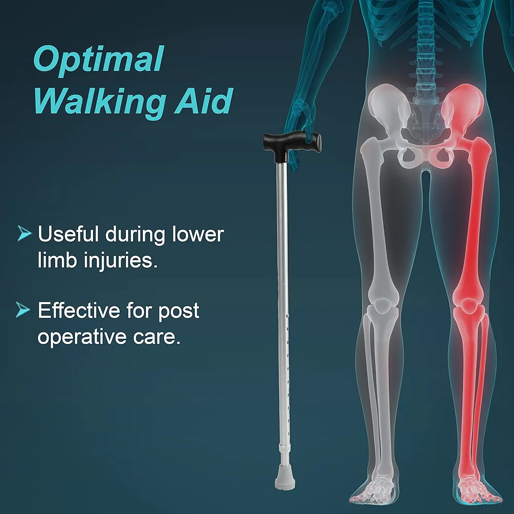 Walking stick (L type )