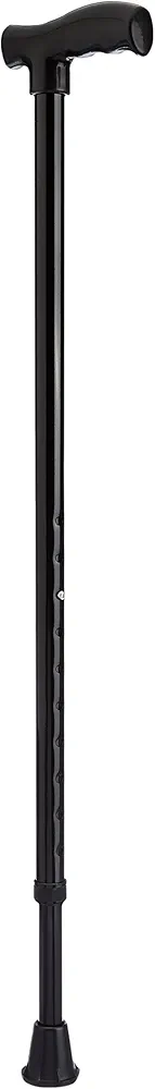 Walking stick (L type )