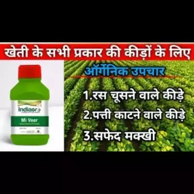MI VEER 250 ML