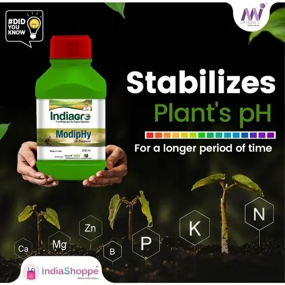MODIPHY 250 ML