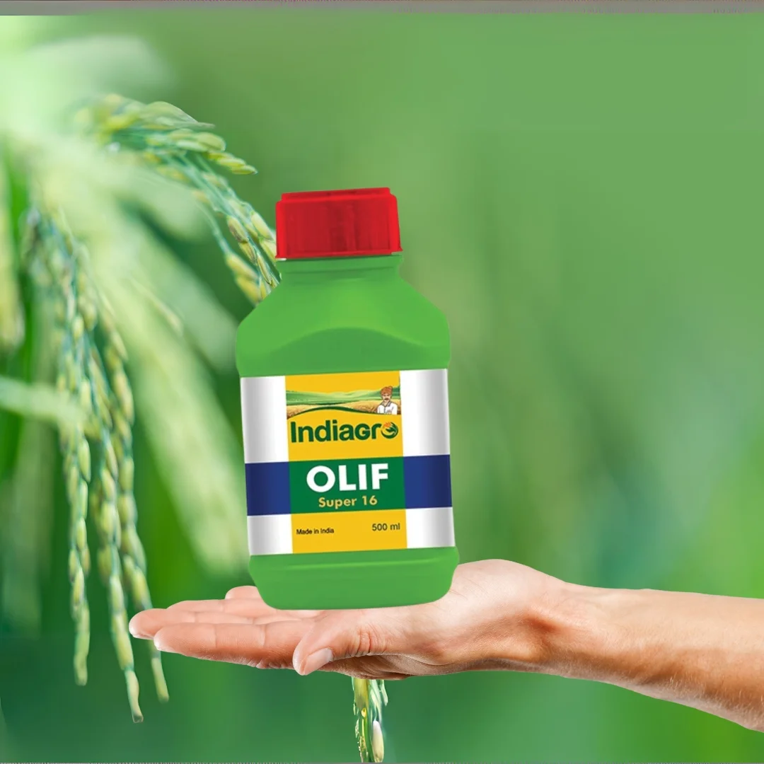 OLIF SUPER 16 500 ML